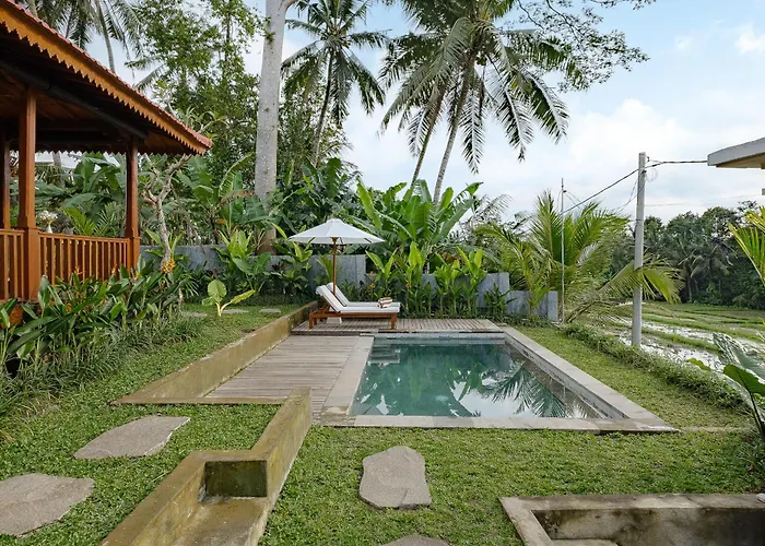 Casa Wooden *